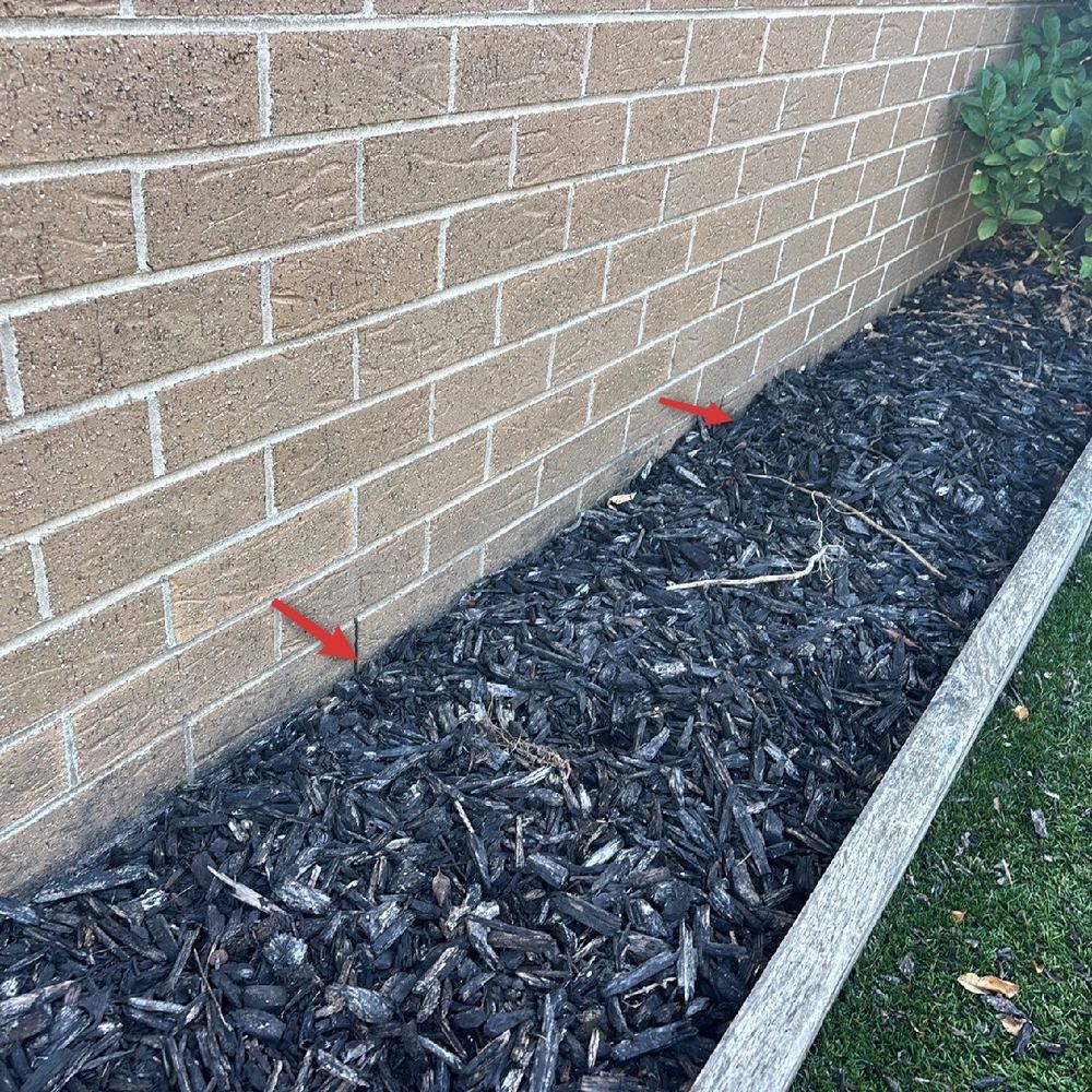 Termite and pest risk, Pakenham