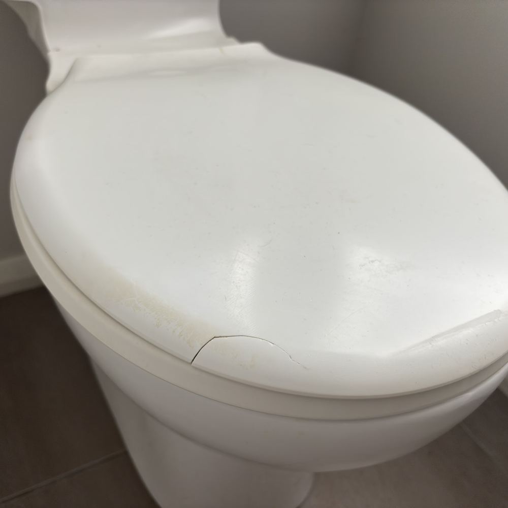 Toilet pan and seat with visible damage that needs attention, found during a pre-purchase inspection in Pakenham